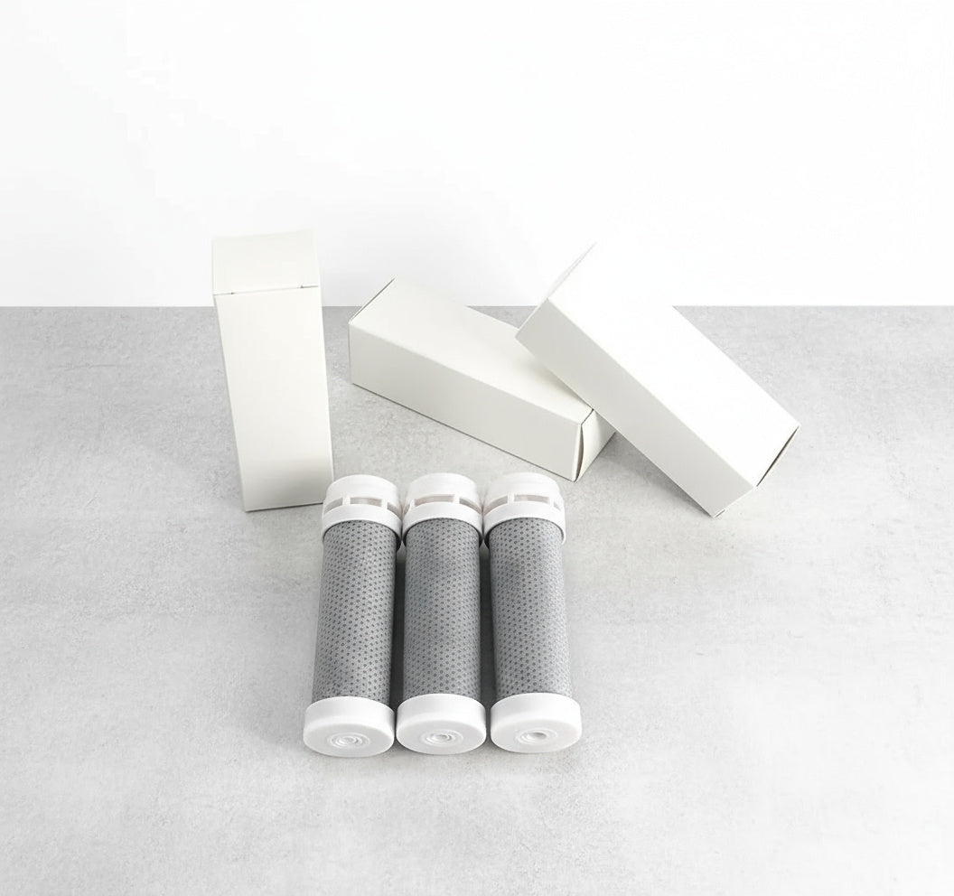 Filtres de remplacement x3