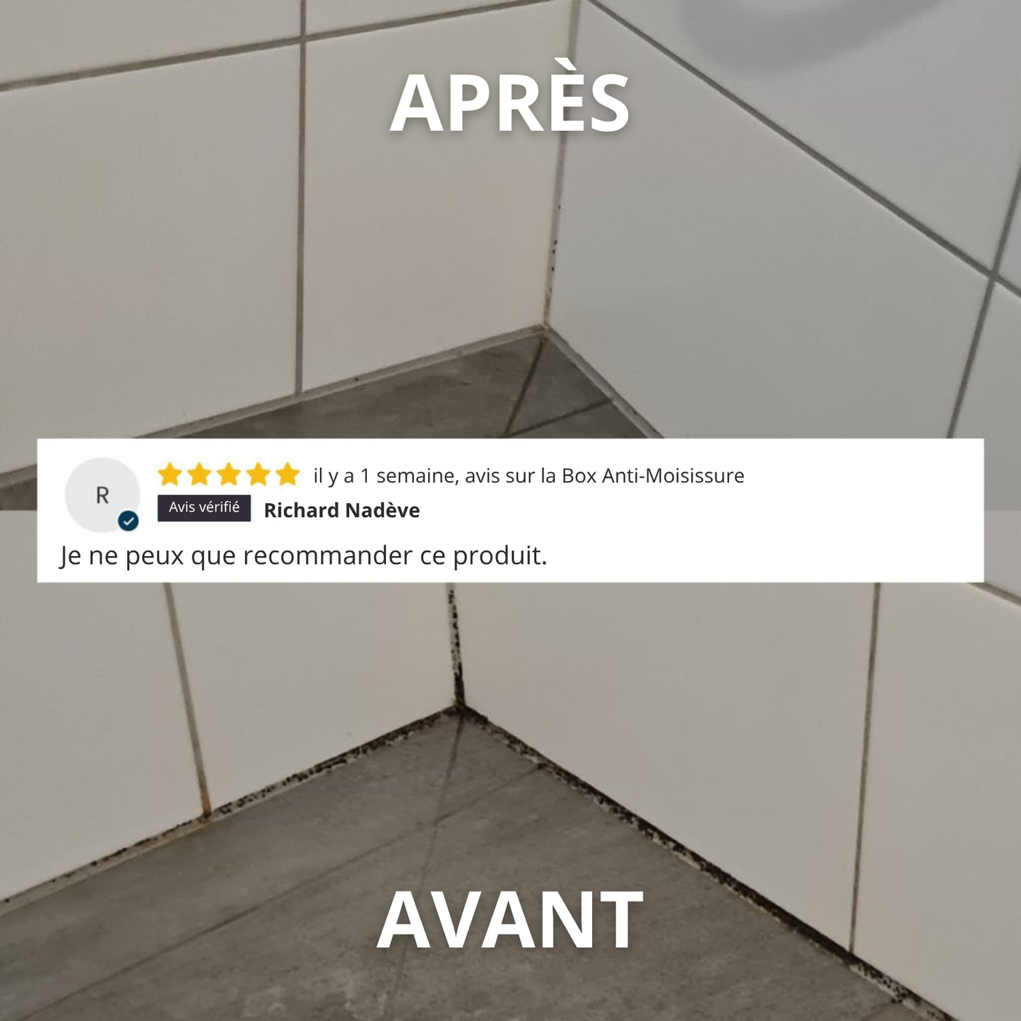 Domelis - Box Anti-Moisissure