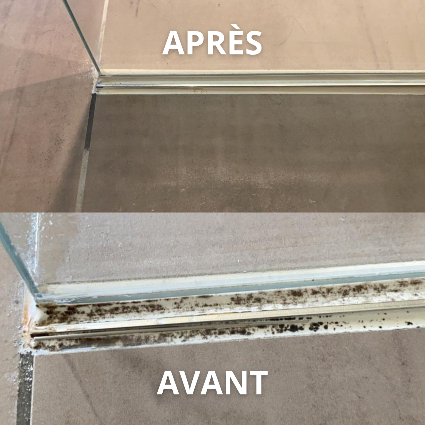 Domelis - Box Anti-Moisissure