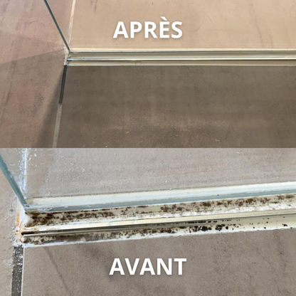 Domelis - Box Anti-Moisissure